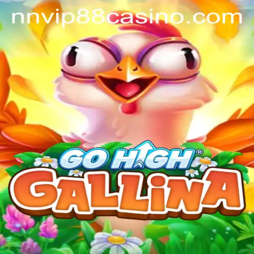 Exploring the Thrills of GoHighGallina: A New Gaming Phenomenon